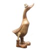Ducks